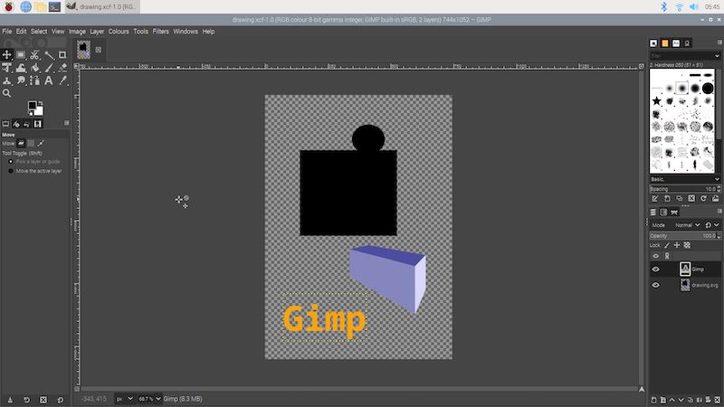 gimp