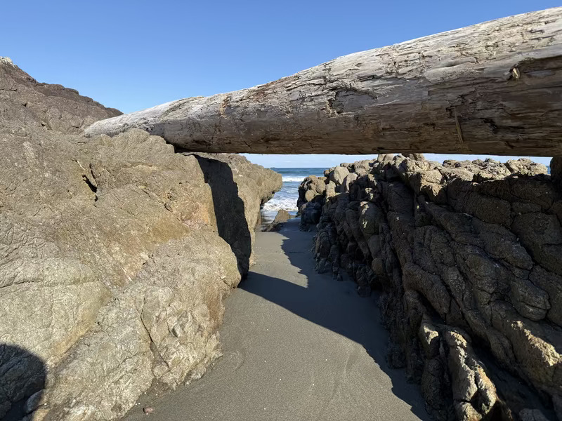 2026-01-01 2026年もよろしくお願いします